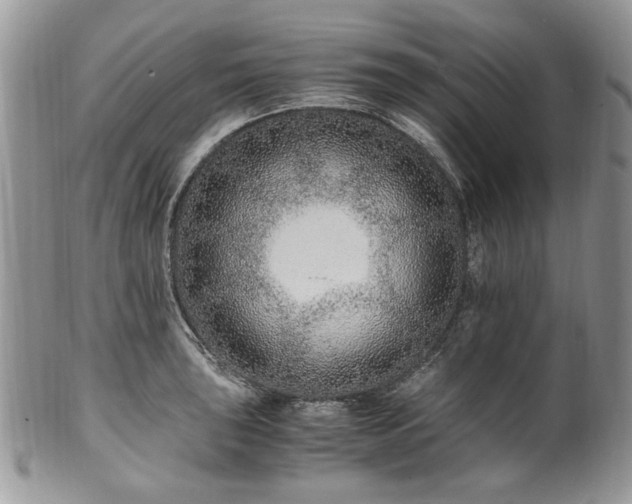 X0000100401043200806131009