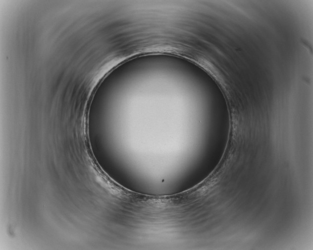 X0000100401044200806131009