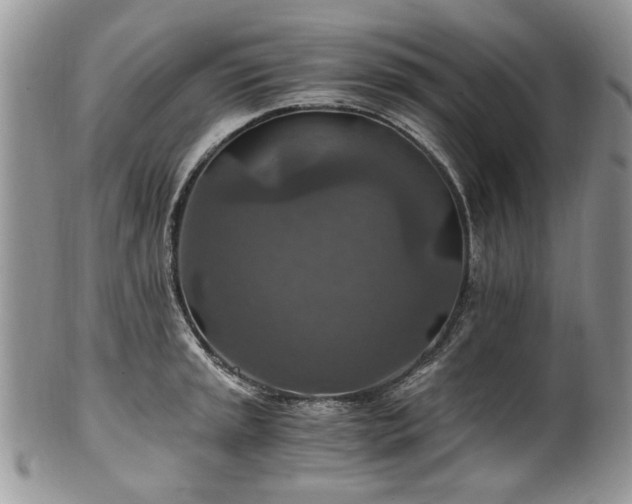 X0000100401045200806131009