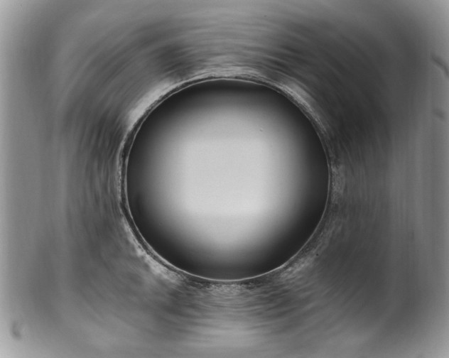 X0000100401046200806131009