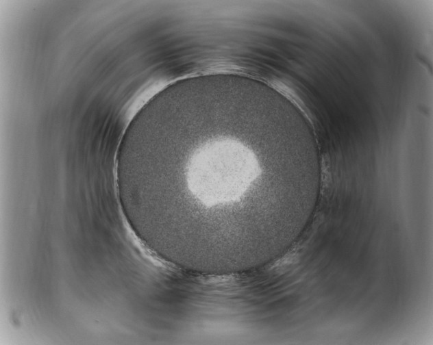 X0000100401047200806131009
