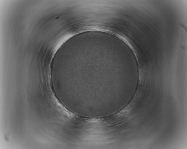 X0000100401048200806131009