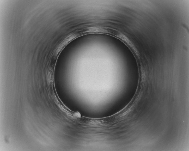 X0000100401049200806131009