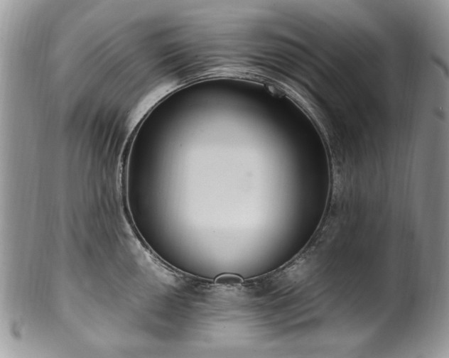 X0000100401050200806131009