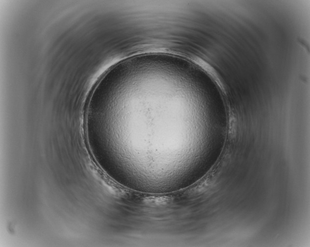 X0000100401051200806131009