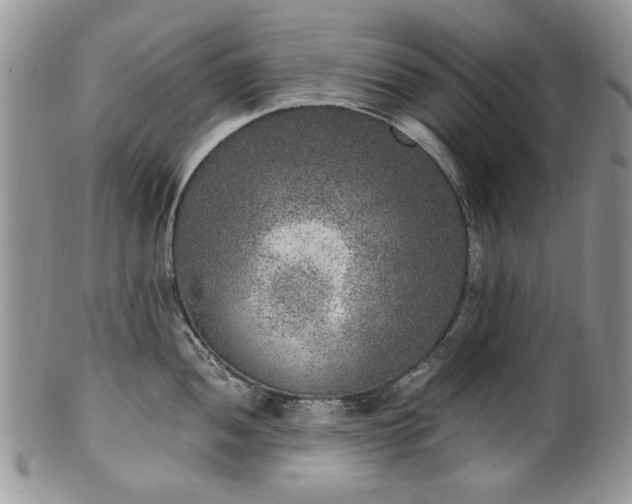 X0000100401052200806131009