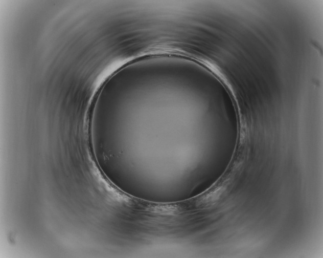 X0000100401053200806131009