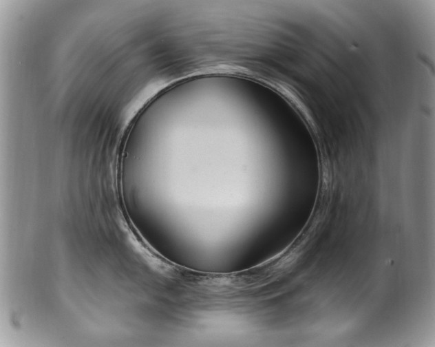 X0000100401054200806131009