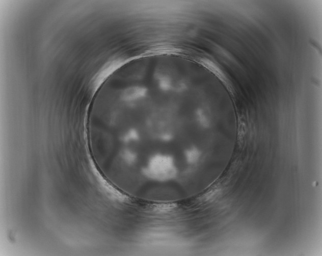 X0000100401055200806131009