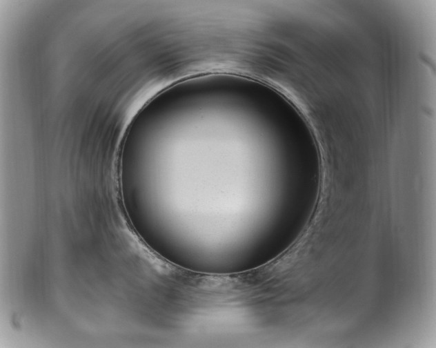 X0000100401056200806131009