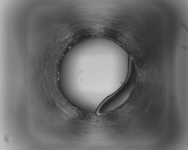 X0000100401057200806131009