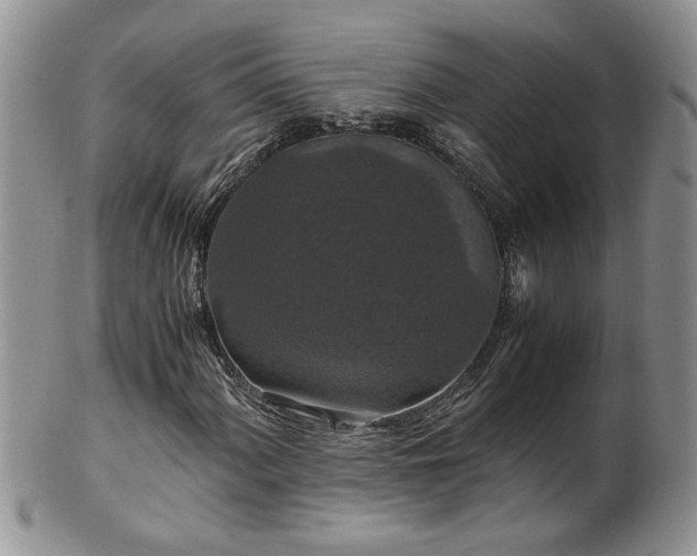 X0000100401060200806131009