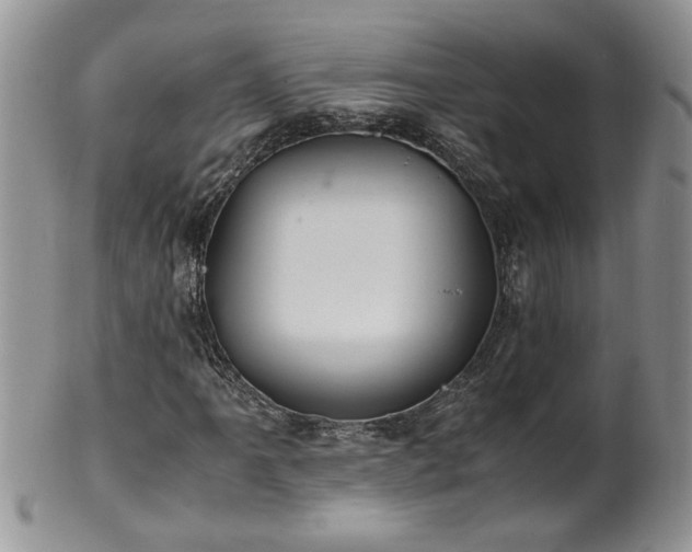 X0000100401061200806131009