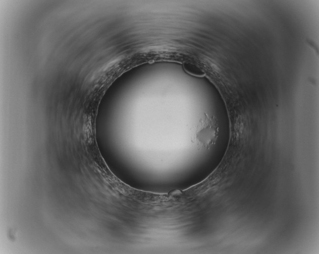 X0000100401062200806131008