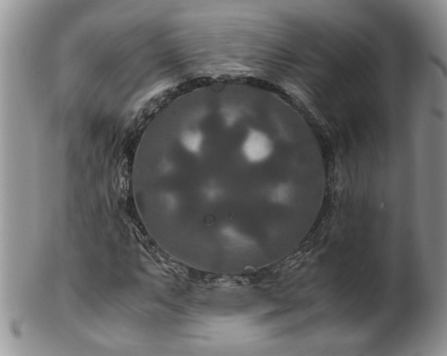 X0000100401063200806131008