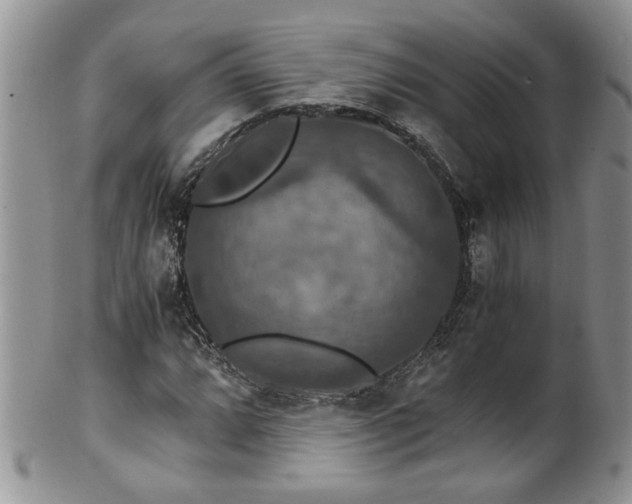 X0000100401064200806131008