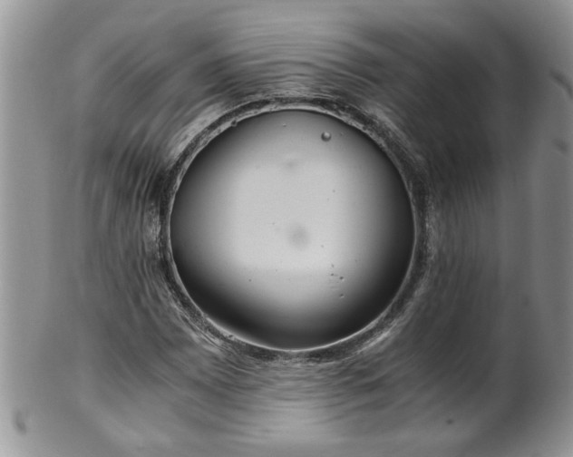 X0000100401065200806131008
