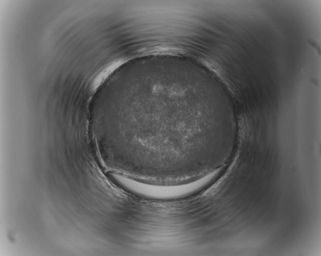 X0000100401066200806131008