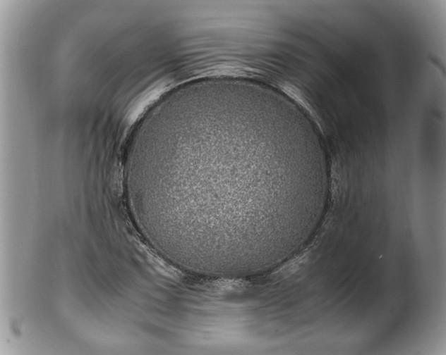 X0000100401067200806131008