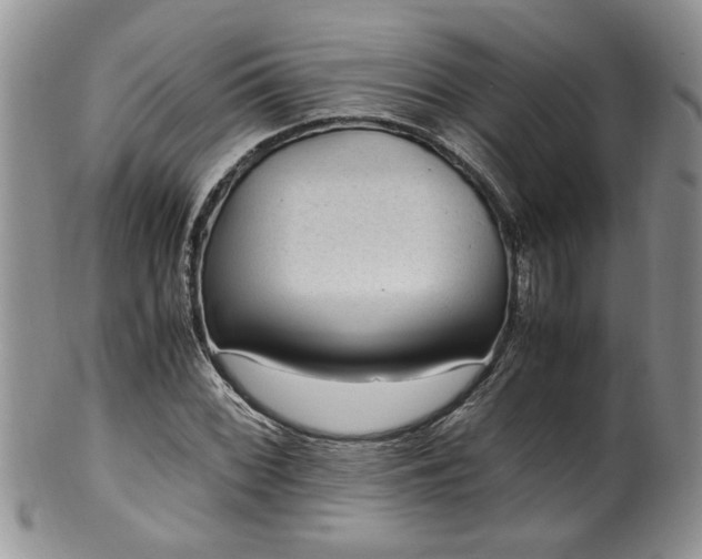 X0000100401068200806131008