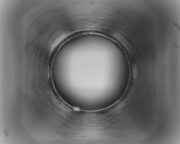 X0000100401069200806131008
