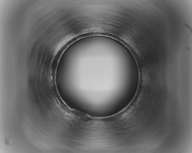 X0000100401070200806131008