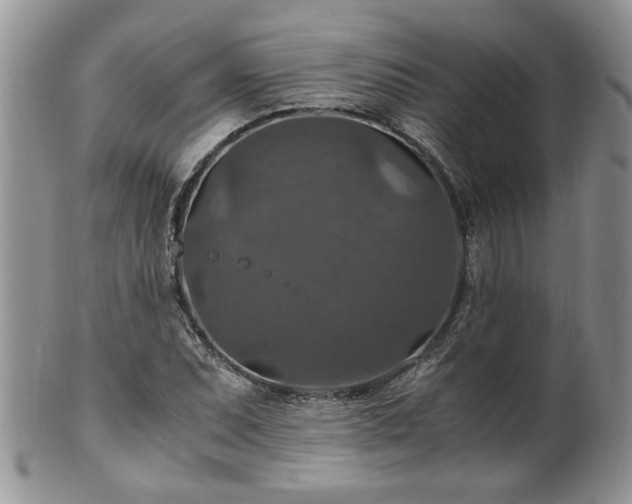 X0000100401071200806131008