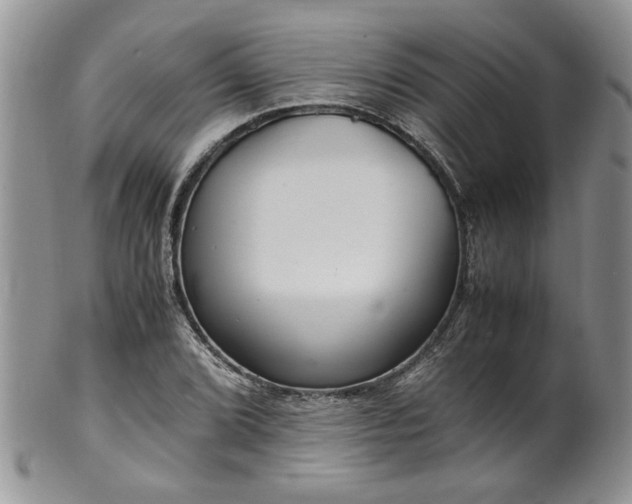 X0000100401072200806131008