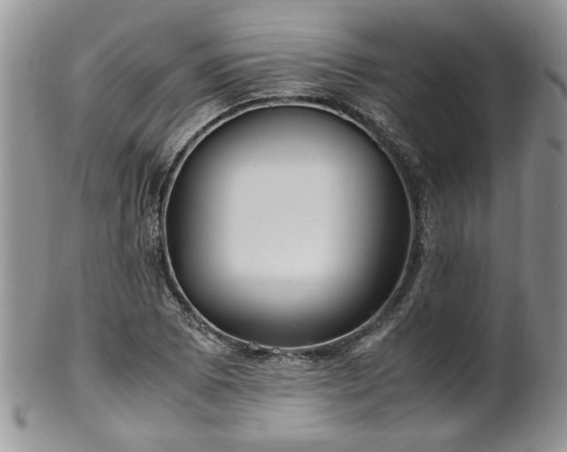 X0000100401073200806131008