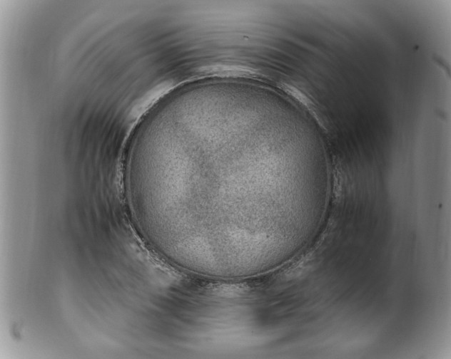 X0000100401074200806131008