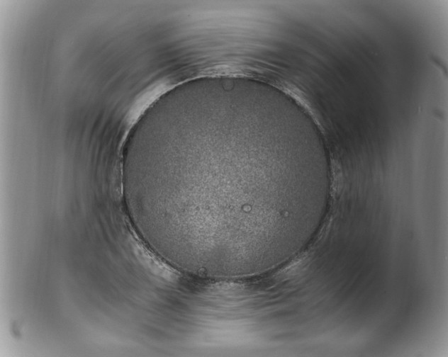 X0000100401075200806131008