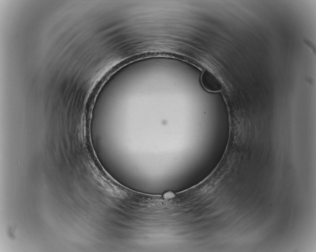 X0000100401076200806131008