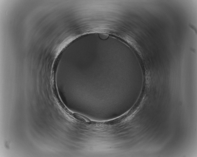 X0000100401077200806131008