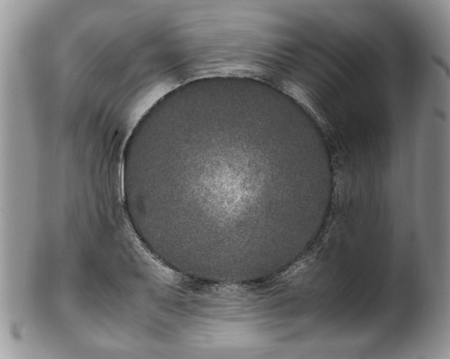 X0000100401079200806131008