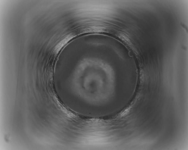 X0000100401081200806131008