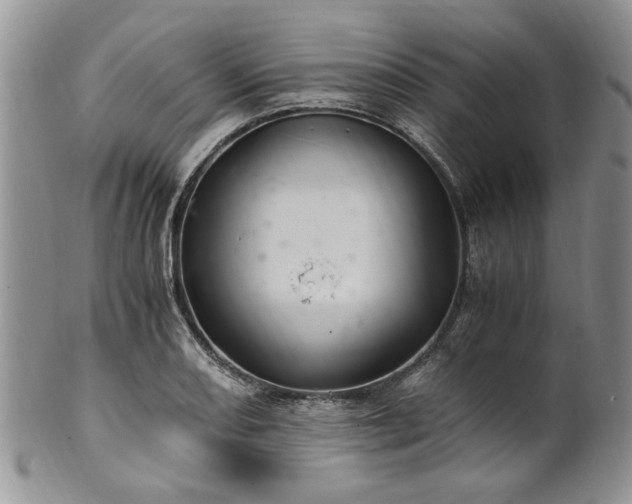 X0000100401082200806131008