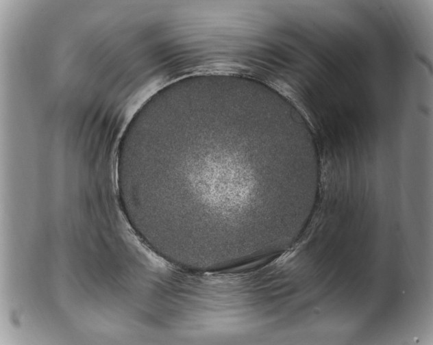 X0000100401083200806131008