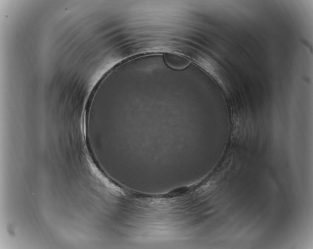 X0000100401084200806131008