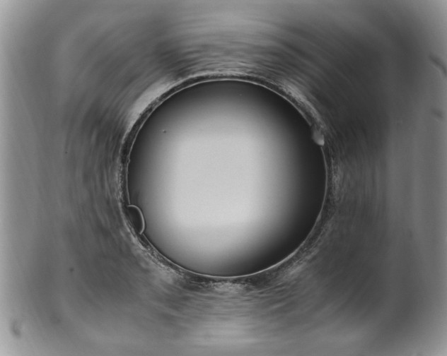 X0000100401085200806131008