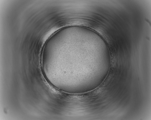 X0000100401086200806131008