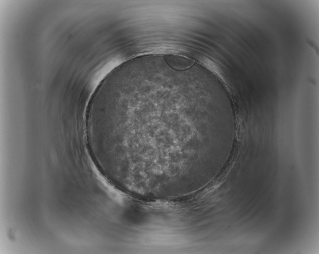 X0000100401087200806131008