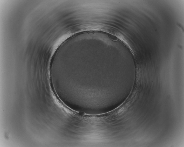 X0000100401088200806131008