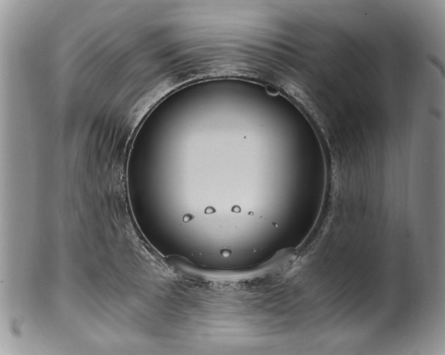 X0000100401089200806131008