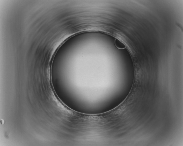 X0000100401092200806131008
