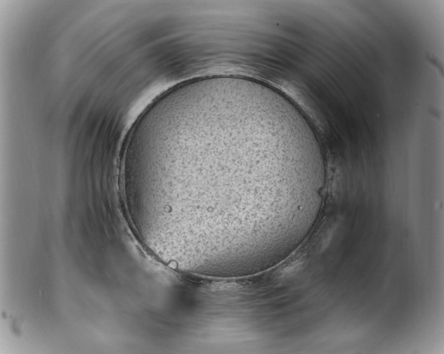 X0000100401094200806131008