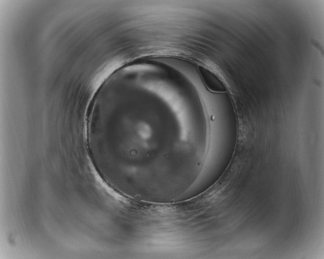 X0000100401095200806131008