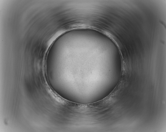 X0000100401098200806131008