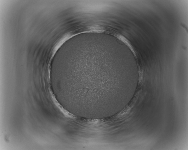 X0000100401099200806131008