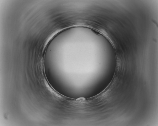 X0000100401100200806131008