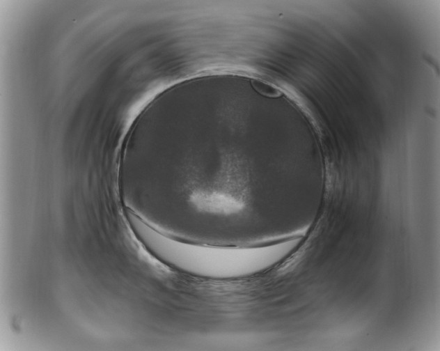 X0000100401102200806131008